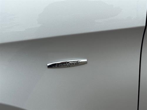 V300diesel    Avantgarde (11)