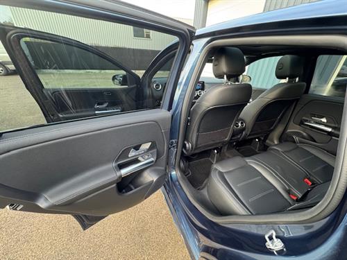 B 250e      Benzine + elektrisch        Hybrid plugin (9)