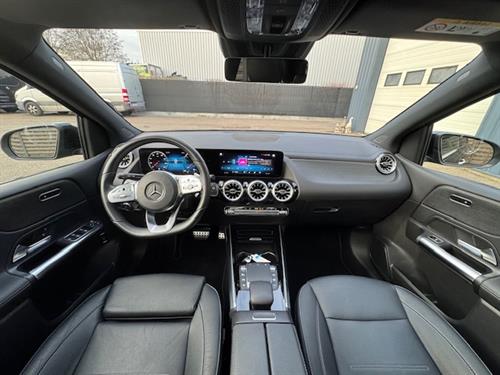 B 250e      Benzine + elektrisch        Hybrid plugin (11)