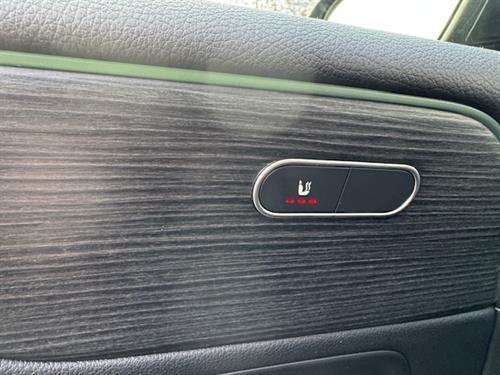 B 250e      Benzine + elektrisch        Hybrid plugin (15)