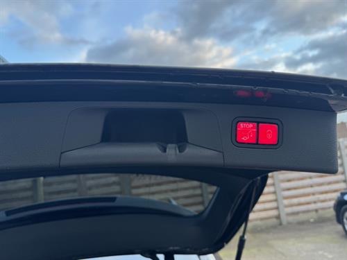 E300de Break Hybrid AMG Line (8)